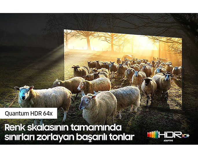 tr-neo-qled-8k-qn900a-qe65qn900atxtk-445712888 Samsung 65"QN900A Neo QLED 8K Smart TV (2021)